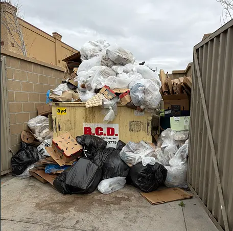 Dumpster Overflow Cleanup in South Denver, CO