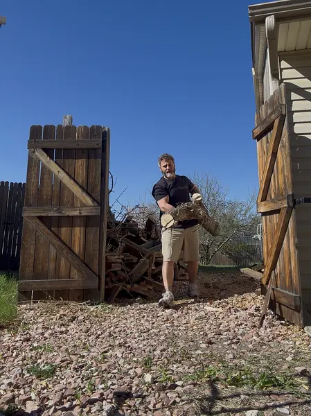 Yard Waste Removal in South Denver, CO